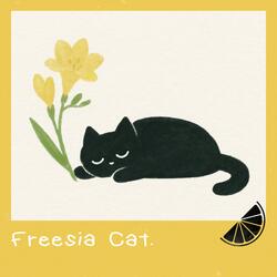 Freesia Cat.