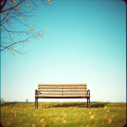 떨어지는 꽃잎