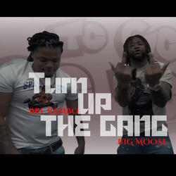 Turn Up The Gang (feat. Big Moose 280)