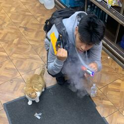 Blic Out (feat. Iso T Money)