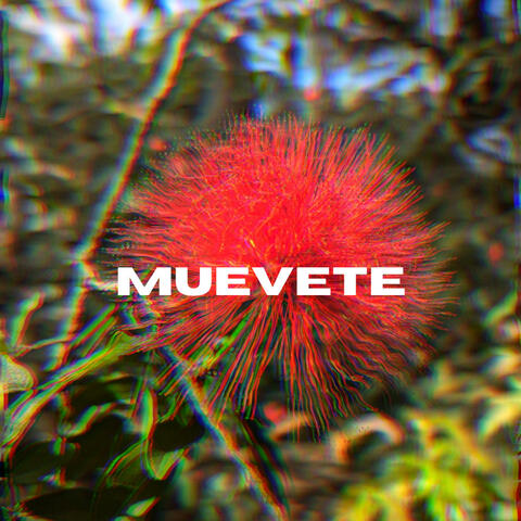 ¡Muevete!