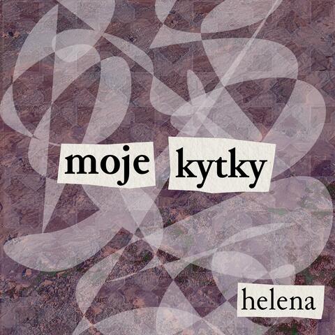 moje kytky