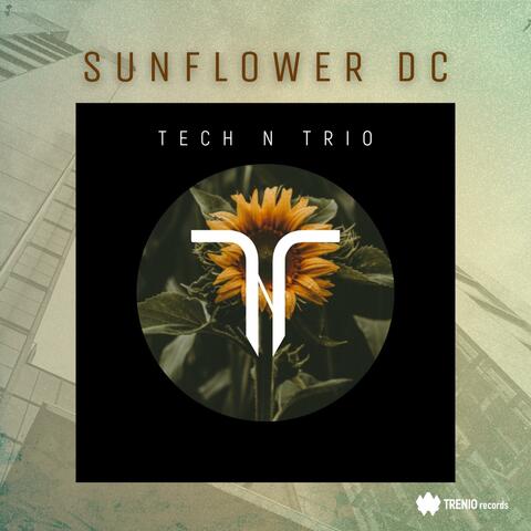 SUNFLOWER DC