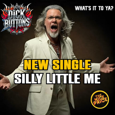 SILLY LITTLE ME (DB SOLO) (Radio Edit)