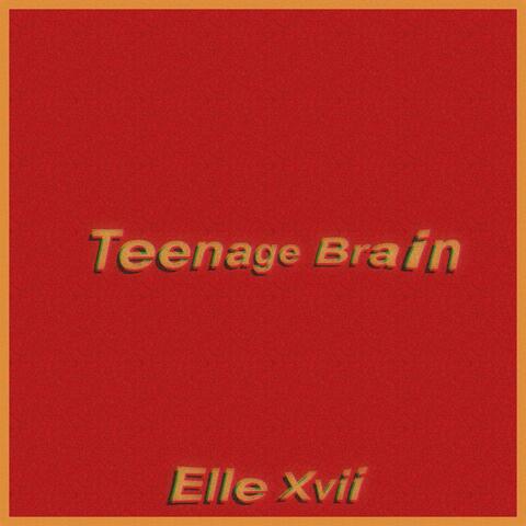 Teenage Brain