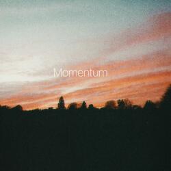 Momentum