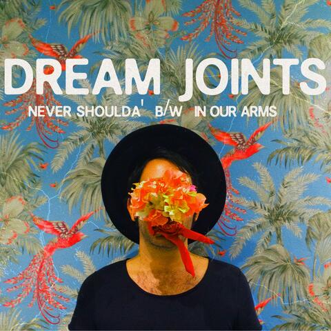 Never Shoulda' b/w In Our Arms