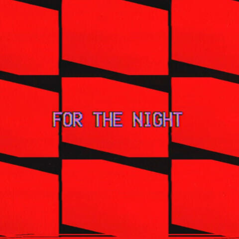 For The Night