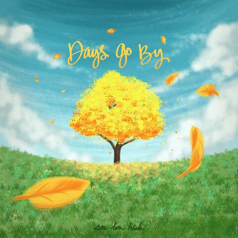 Days Go By