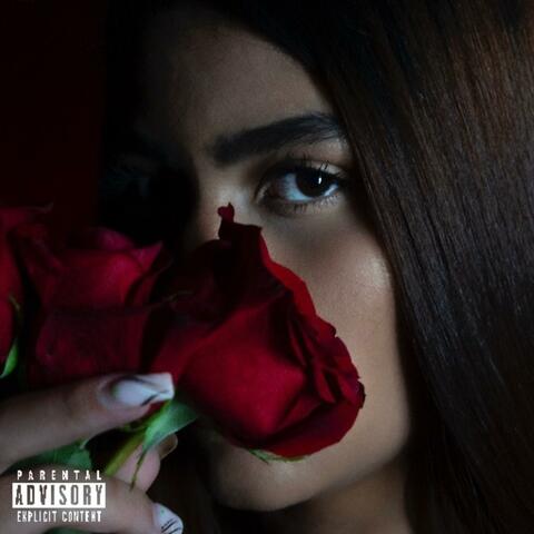 Dark Rose