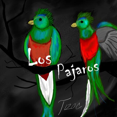 Los Pajaros