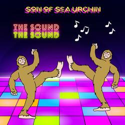 The Sound