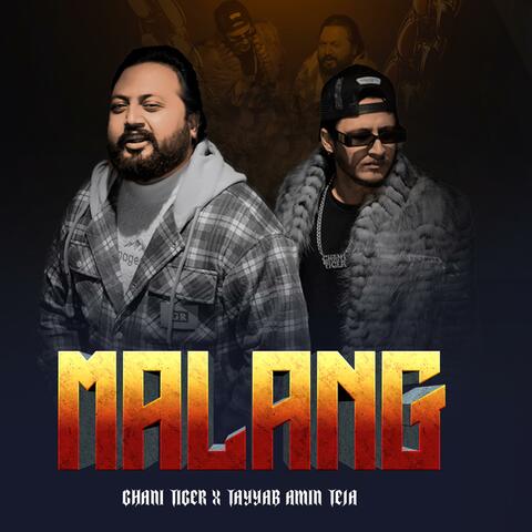 Malang  (feat. Tayyab Amin Teja) [Slowed Reverb]