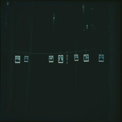 Silent echos of goodbye (a song to my mom)