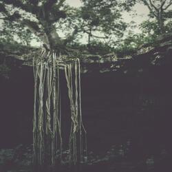 Tears on Deaf Eyes (II)