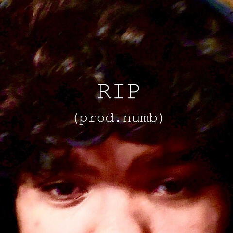 RIP (feat. numb) [DEMO]