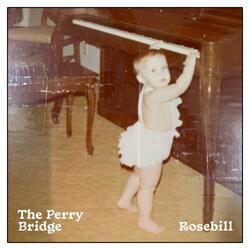 The Perry Bridge (Piano Demo)