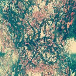 Staring Into Spaces (I)