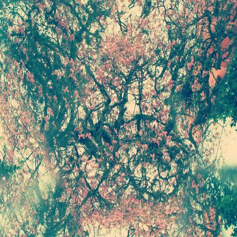 Staring Into Spaces (I)