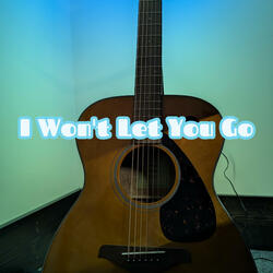 I Won't Let You Go