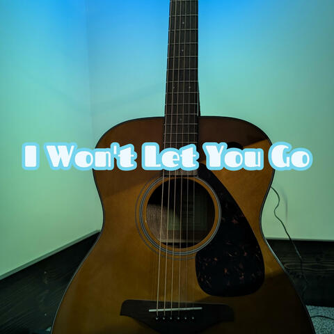 I Won't Let You Go