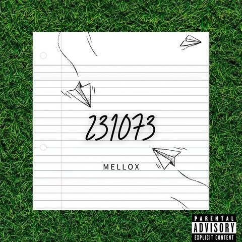 231073