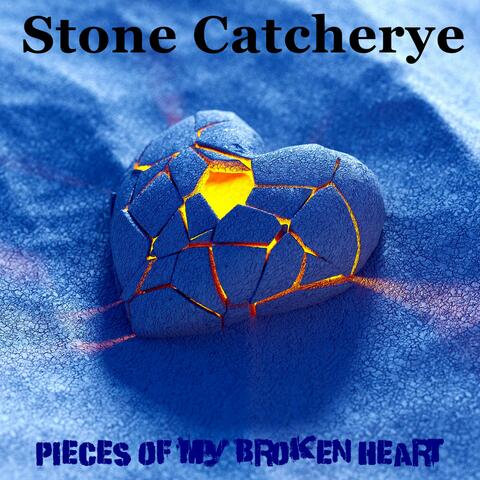 Pieces Of My Broken Heart