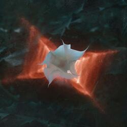 I Fade Out All The Same