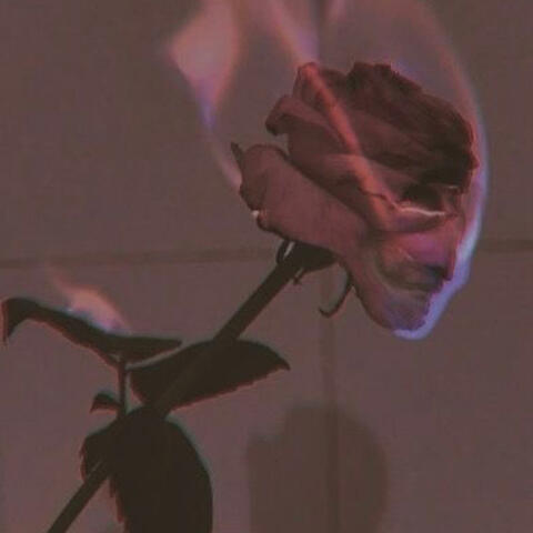 Romance