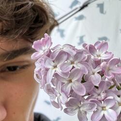 blumen. (feat. Ella)