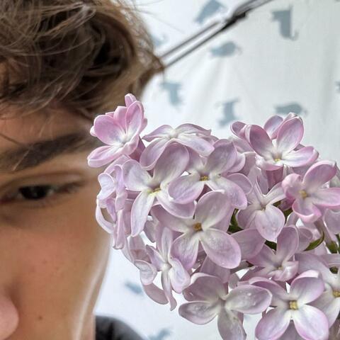 blumen. (feat. Ella)