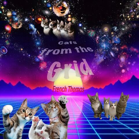 Cats from the Grid