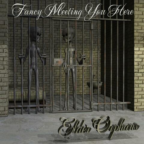 Fancy Meeting You Here