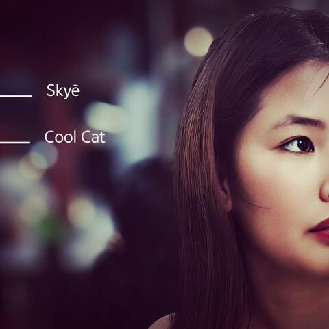 Cool Cat