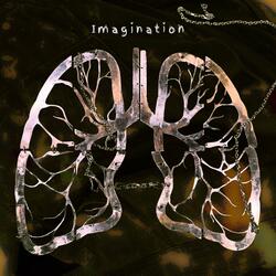 Imagination