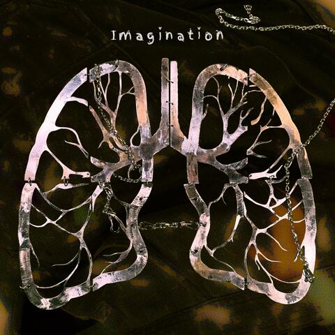 Imagination