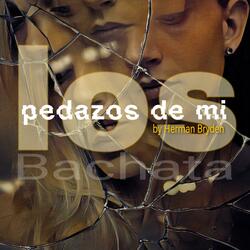 Los Pedazos de Mi