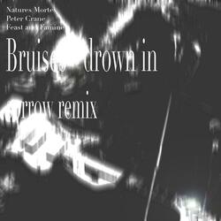 bruises drown in sorrow remix (feat. Natures Mortes & Peter Crane)