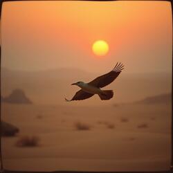Herbert der Wanderer der Welt