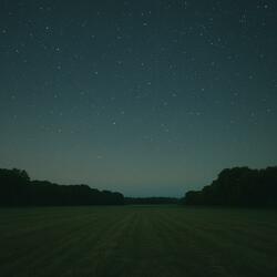 Not In This Lifetime