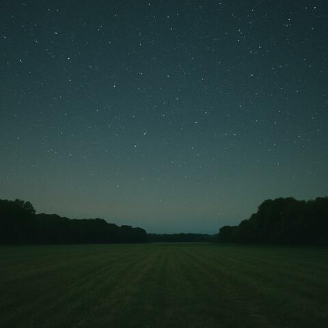 Not In This Lifetime