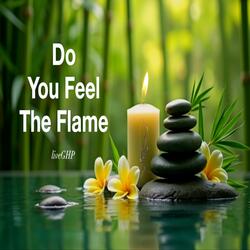 Do You Feel The Flame