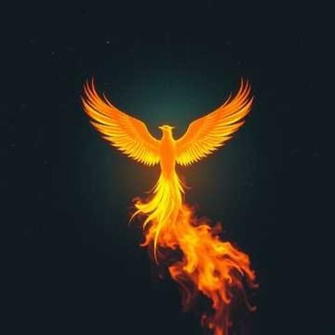 Rise From the Ashes