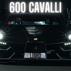 600 CAVALLI
