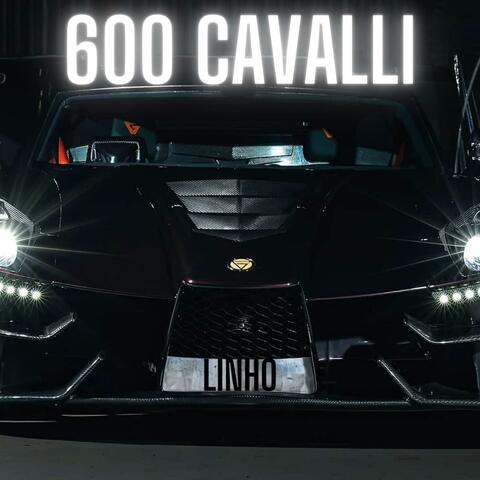 600 CAVALLI