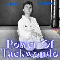 Power Of Taekwondo