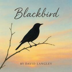 Blackbird (Live Version)
