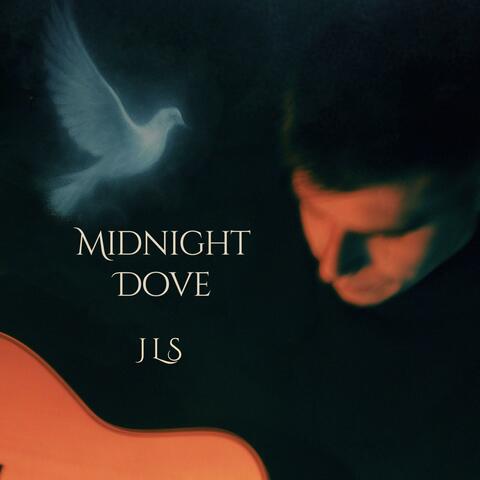 Midnight Dove