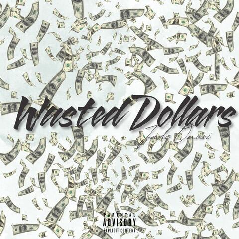 Wasted Dollars