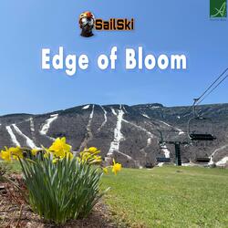 Edge of Bloom